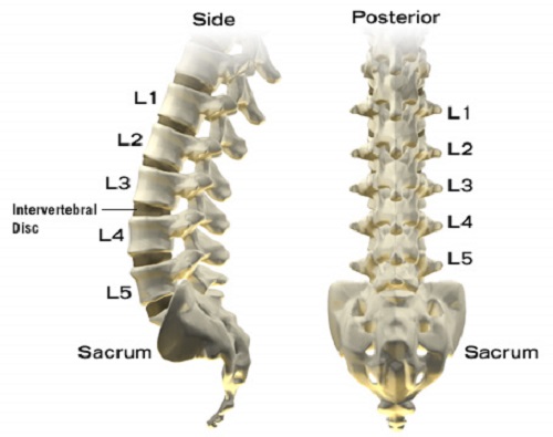 Pelvic Tilt